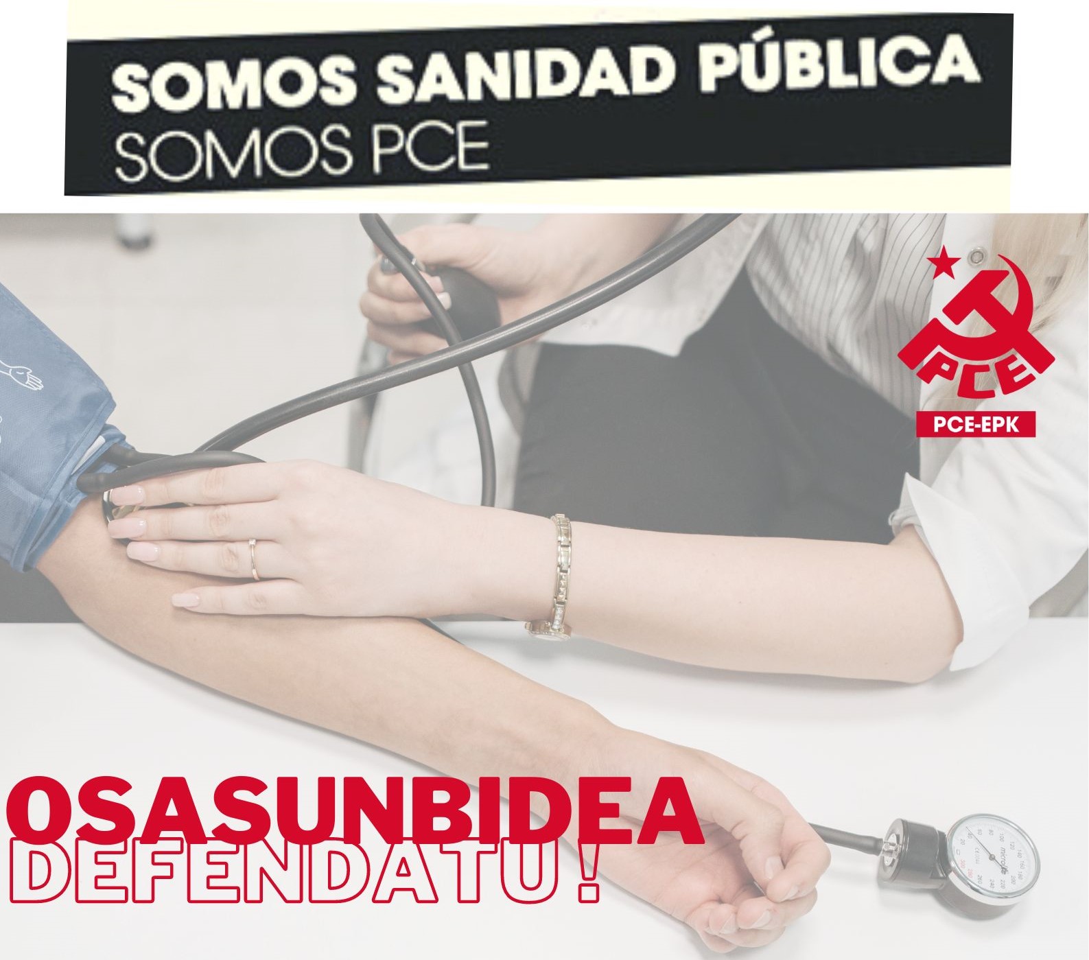 El PCE-EPK insta al Gobierno de Navarra a reforzar el sistema público sanitario y rechaza una posible eliminación de la exclusividad de los médicos